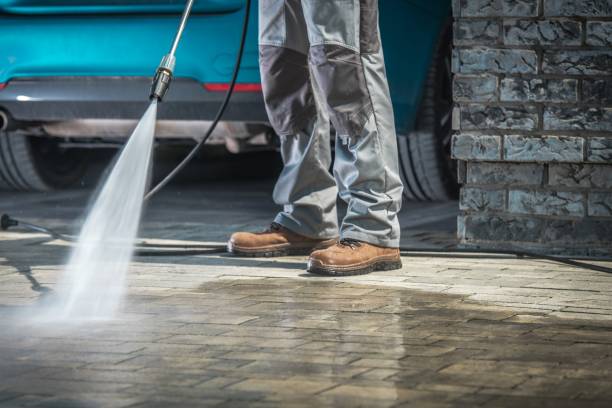 Best Roof Cleaning and Mildew Removal in Midway South, TX